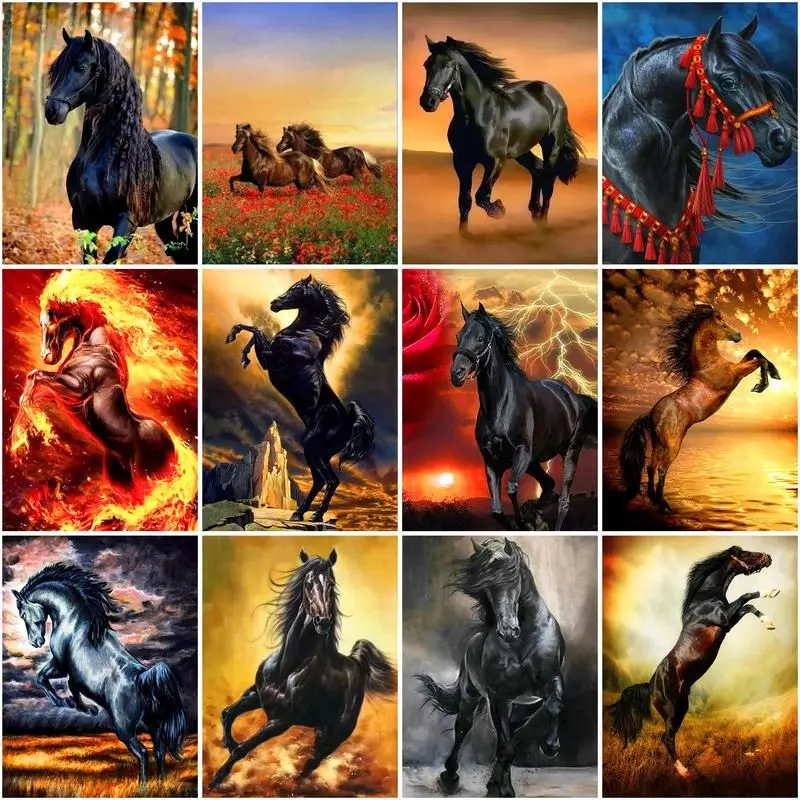 CHENISTORY Paint By Number Black Horse Animal Drawing On Canvas