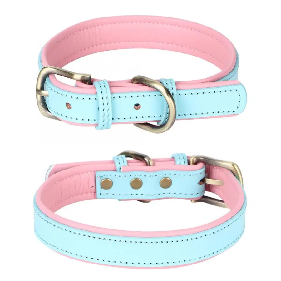 light blue dog harness