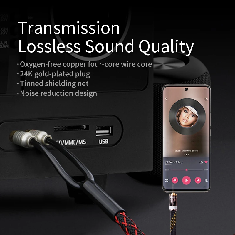 Canare   RCA ̺,  ȣ ̾ ÷, AUX ÷ ȯ, 2 RCA ÷, 3.5mm