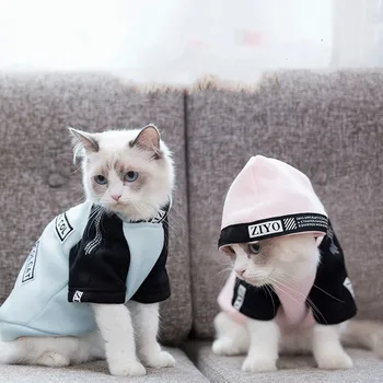 

Two-legged Pet Cat Letter Print Hoodies 2020 Hooded Sweatshirt for Small Medium Cat French Bulldog Sweet Puppy Pet Clothing