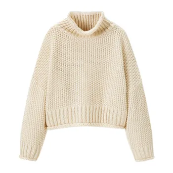 

Thick Turtlneck Sweater Women Streetwear Knitted Pullovers Top Autumn Winter Sweater pull femme Solid Loose Ladies Sweaters