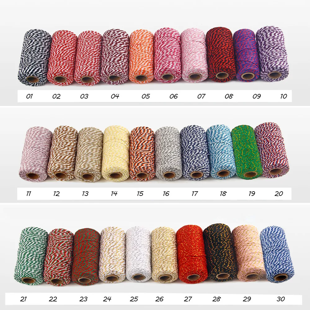 2mm Rope Twisted-Cord 100Meters Cotton rope colorful twine macrame cord string thread for party wedding decoration accessory
