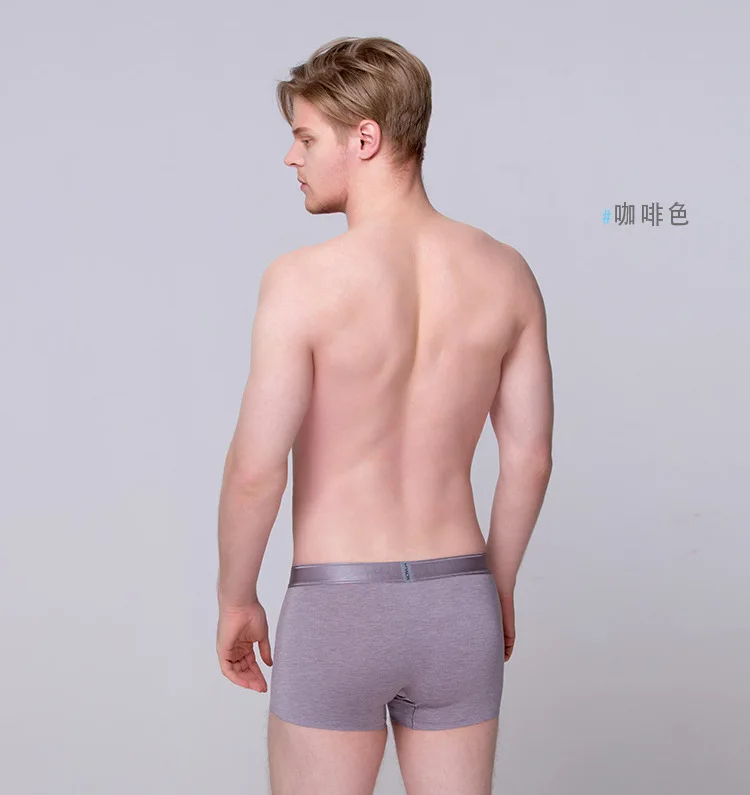 Men's Underwear Traceless MiiOW Boxers New Style Autumn And Winter Breathable Modal Men's Underwear