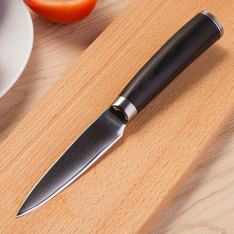 GRANDSHARP 3,5 дюймов нож для очистки овощей высокого качества 67 слоев японской дамасской нержавеющей стали VG10 кухонные инструменты для повара нож для фруктов