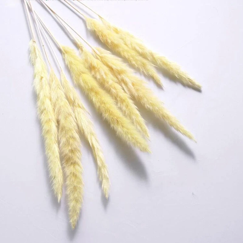 QQ截图20191030190755