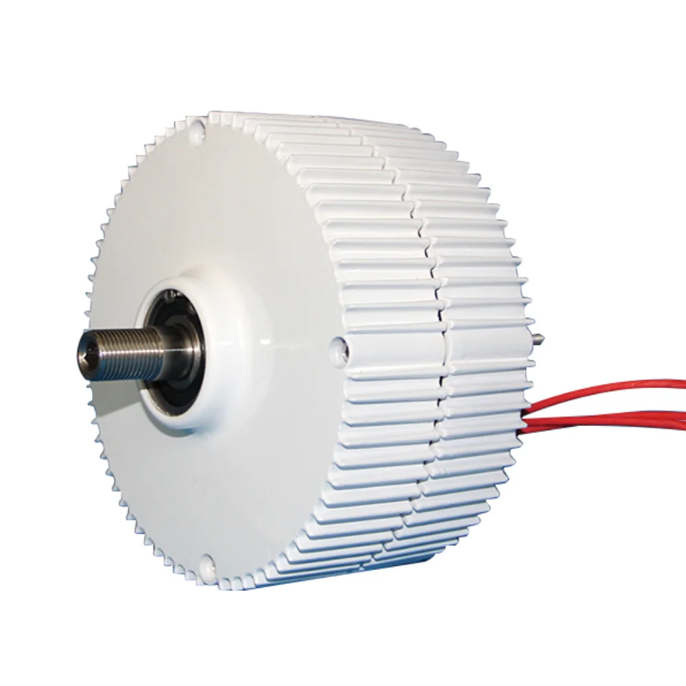 WALFRONT 24V 400W Permanent Electric Motor 3Phase Synchronous