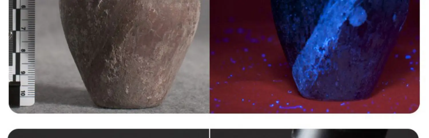 Tochas Lanterna Recarregável Roxo Luz Host Lâmpada Olight Preto Lumintop Iluminação Portátil Usb uv 12 host lâmpada uv olight lanterna preto lumintop iluminação portátil