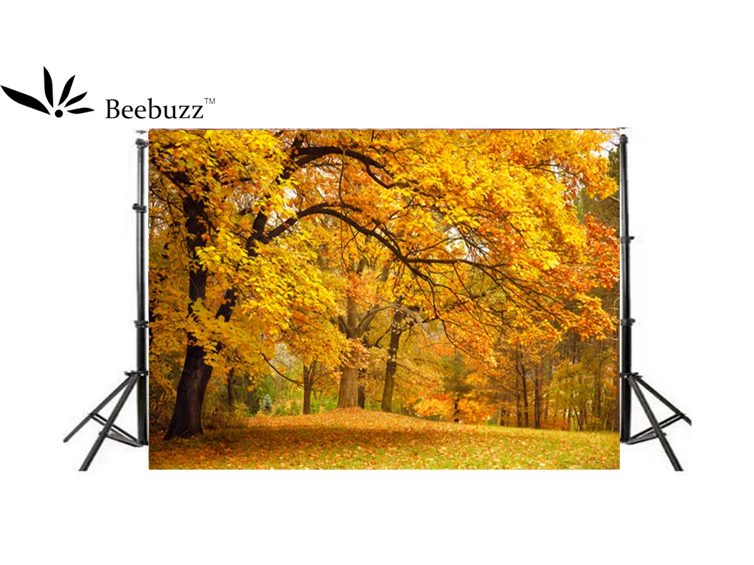 

Beebuzz Photo Background Autumn Golden Maple Forest Photo Backdrop