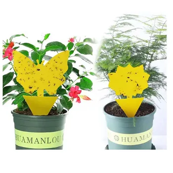 

20PCS Strong Flies Traps Bugs Sticky Board Catching Aphid Insects Killer Pest Control Whitefly Outdoor Fly Trap Mosquito Trap