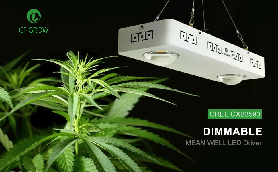 98ec03ed-52b9-48cd-997b-3f3883dfda52