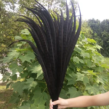

Beautiful 10pcs Black 90-100cm/36-40inches Lady Amherst Pheasant Tail Feathers Carnival Costume Party Decoration