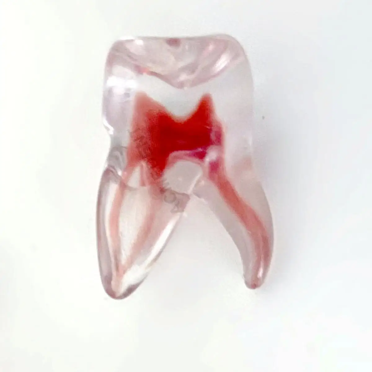 

1Piece Dental Replica Upper Molar B RCT Root Canal File
