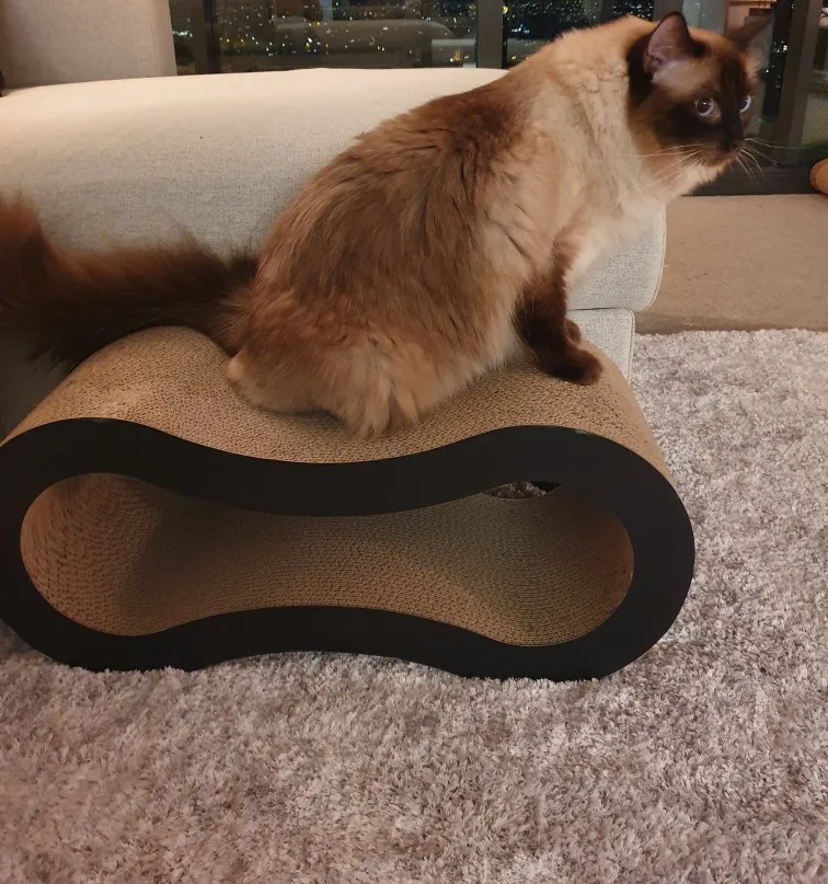 Ultimate Cat Scratcher Lounge Bed Fat Cat Cat Bed Cardboard Paper Kiváló Minőségű Macska Játék Karcoló Pad Fekete_ Zsíros Aranyos