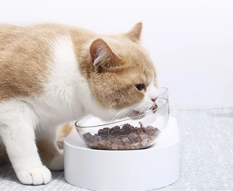 Миски для домашних животных Xiaomi PETKIT миски для кормления регулируемые двойные миски для кормления чашка для воды для щенков товары для домашних питомцев, игрушка для собак поилки для кошек