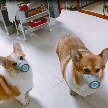 

3pcs/box Pet Dog Muzzle Smoke Mouth Mask Anti Bark Anti-PM2.5 Bite Adjustable Breathable Grey Dog Training Muzzle For Pet Health