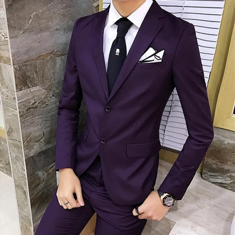 Комплект из 2 предметов, мужские повседневные деловые костюмы, модный мужской Британский приталенный красивый деловой Свадебный блейзер+ брюки для мужчин - Цвет: purple