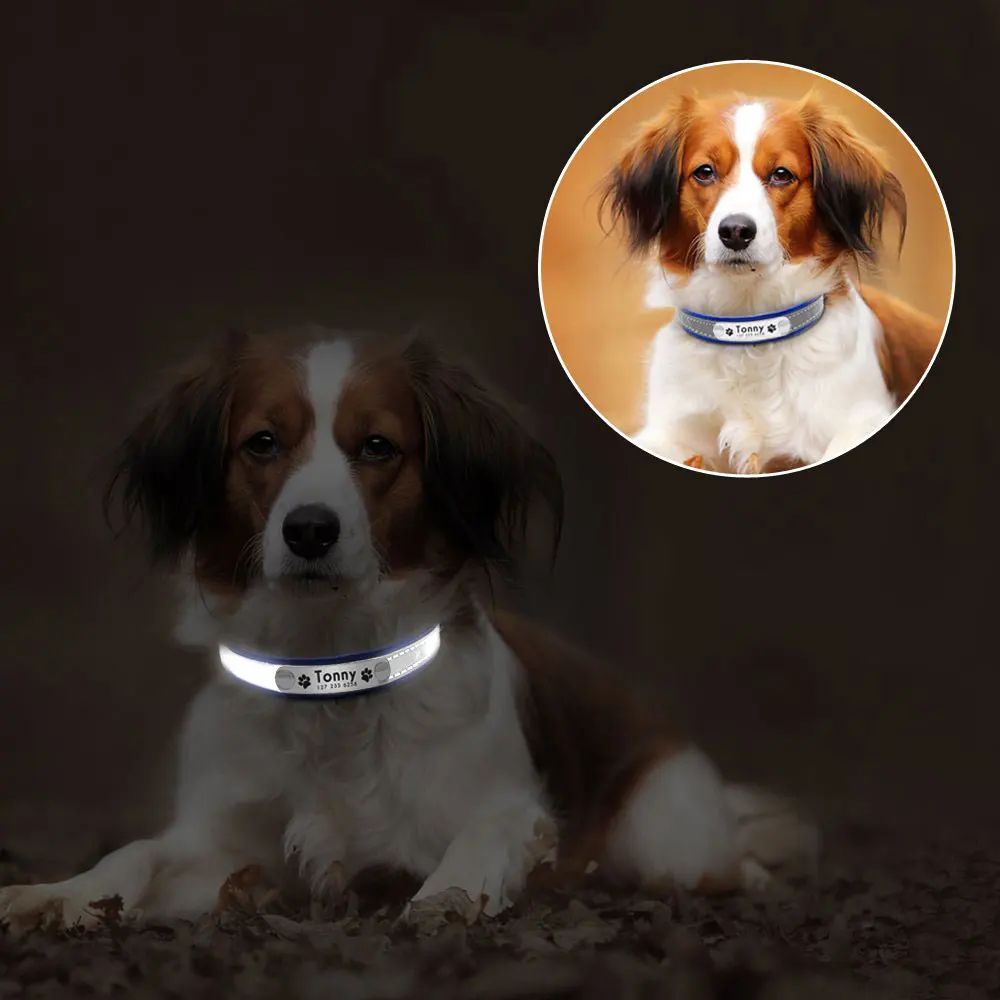 PERSONALIZED DOG COLLAR (4)