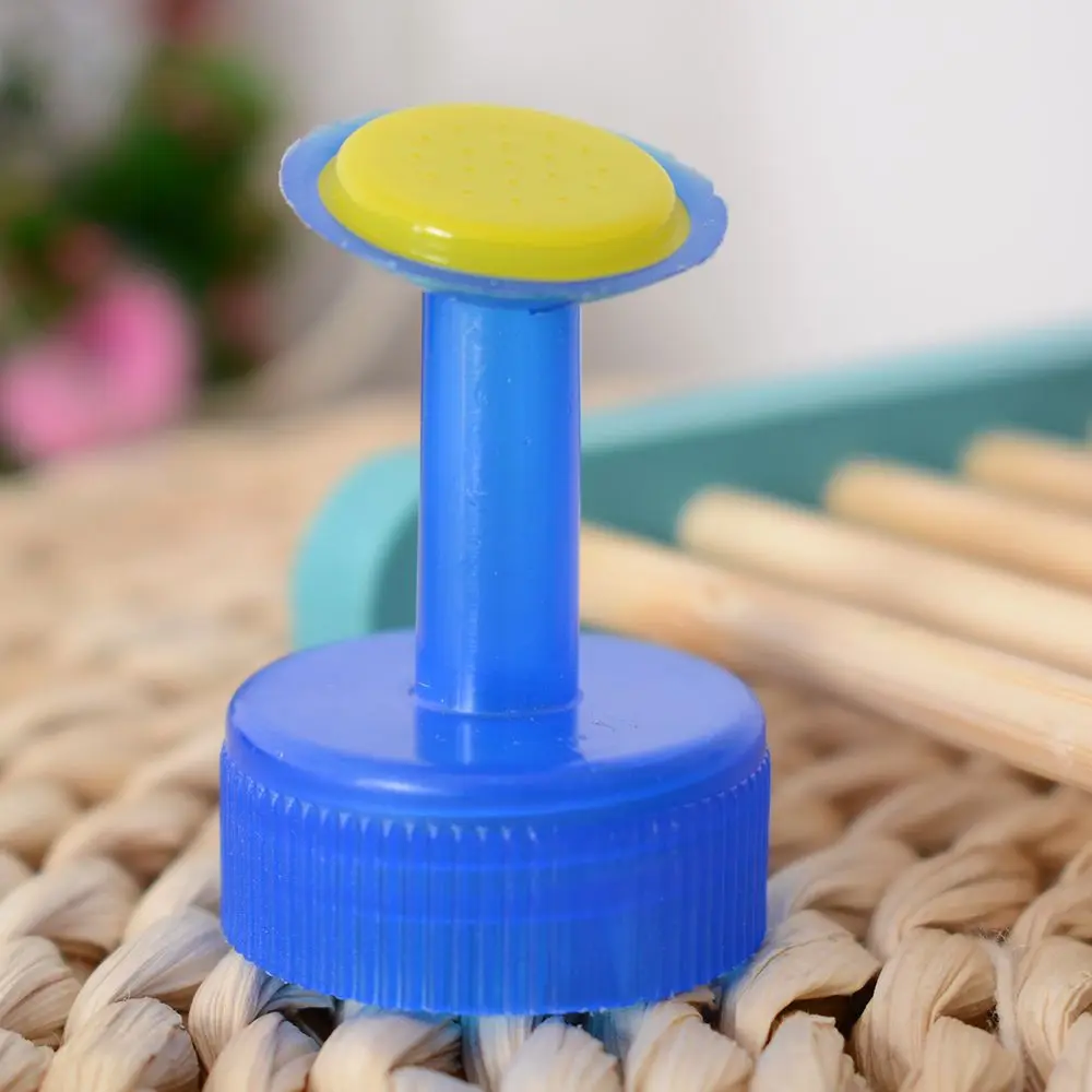 H81512116082_DSC_4411