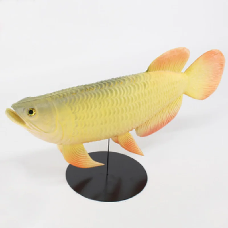 Y029-1 Simulation Fake Fish Pet Cat Toy Children Gift Kindergarten Enlightenment Education Fish Props Model - Цвет: Y029-1