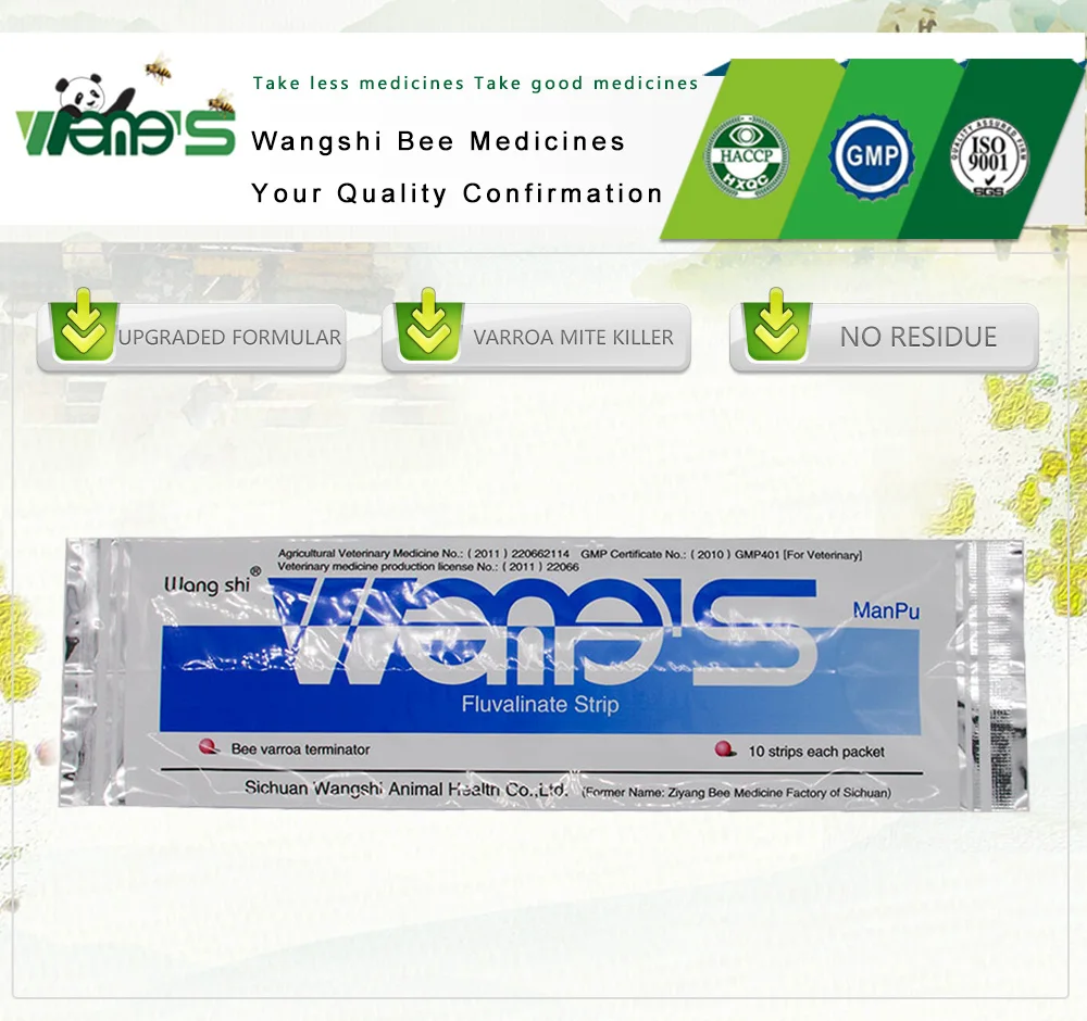 蓝色英文螨扑10片-新版定稿_01