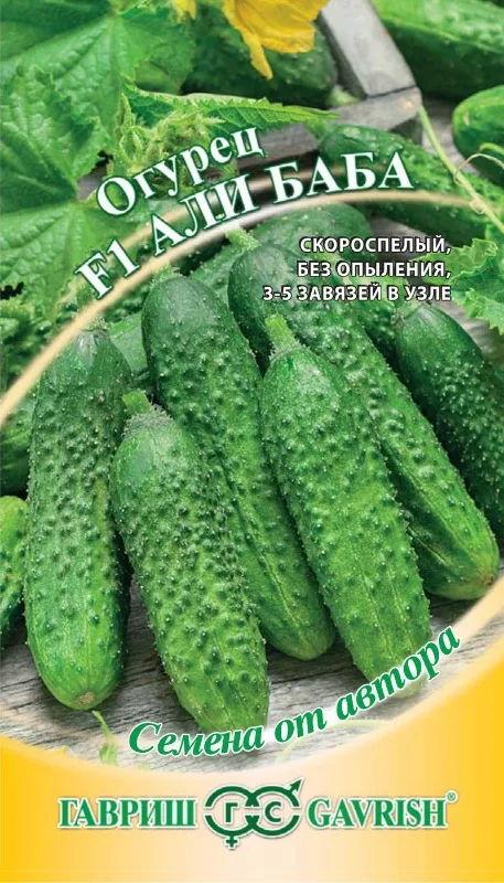 Ali Baba F1 cucumber Gavrish us 10 PCs | Дом и сад