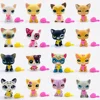 LPS CAT Rare Pet Shop Toys Stands Short Hair Kitten with Mouse and necklace Old Original Animal Collection toy with Accessories ► Photo 1/6