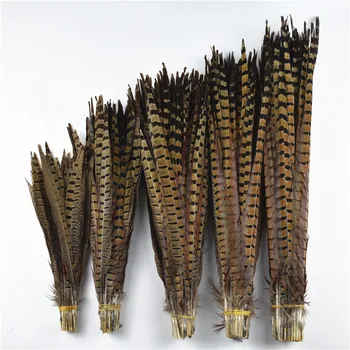 

Wholesale 100Pcs/Lot Natural Ringneck Pheasant Tail Feathers for Crafts Pheasant Feather for Jewelry Making Carnaval Assesoires