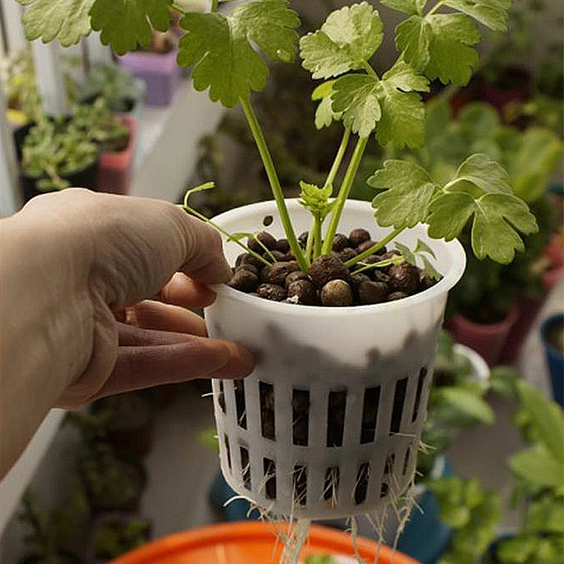 Сверхмощный гидропоники сетчатой горшок чистая чашка корзина аэропонного