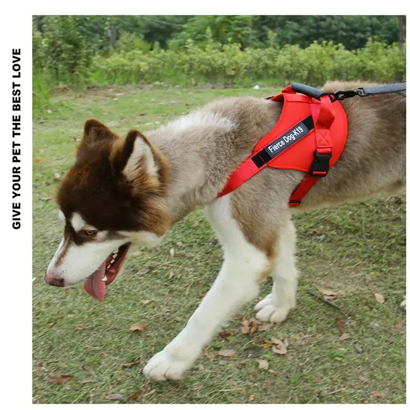 14376156040_1937179884