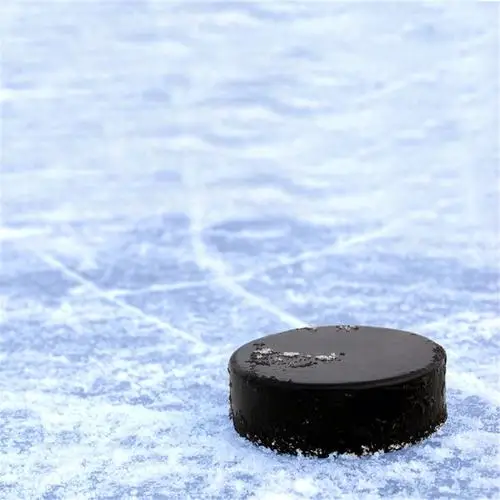 Пустые Хоккейные шайбы-высокое качество официальное регулирование