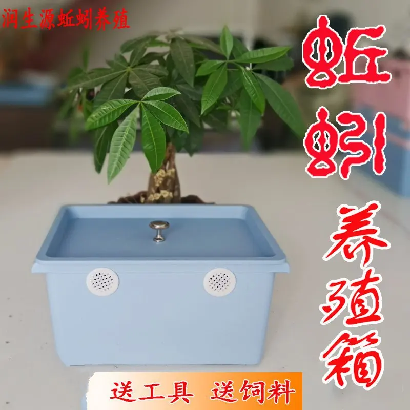 Коробка для разведения земляных червей, только дышащая домашняя коробка для террариума, компост, защищенная от побега, с крышкой, для студентов, домашних детей, для наблюдения