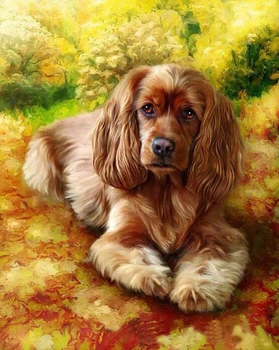 

DRAWJOY Framed Animal DIY Painting By Numbers Wall Art DIY Canvas Oil Painting Home Decor For Living Room 40*50cm