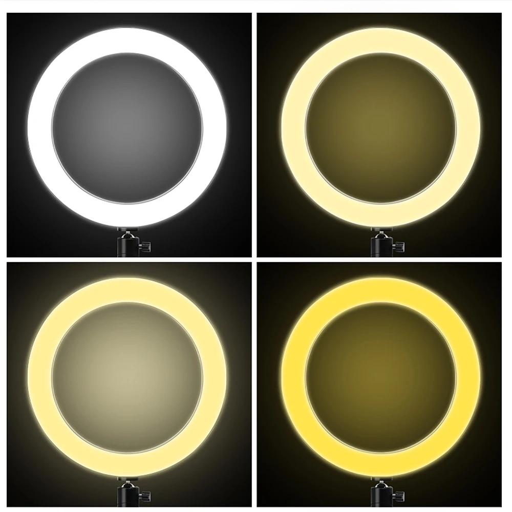 455040_5634376bd1764e0096ac08118b47e2ef