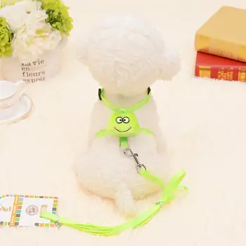 

2019 New Cute Cartoon Chest Traction Rope Set Dog Leash Dog Leros Acesorios Peitoral Cachorro Pets Accessories Dogs DD6D54
