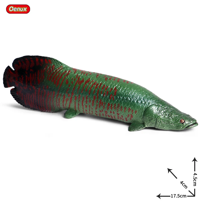 Oenux пресноводная Морская жизнь Животные Моделирование Coelacanth Пиранья бас рыба лосось фигурка модель реалистичные развивающие игрушки - Цвет: Without Box