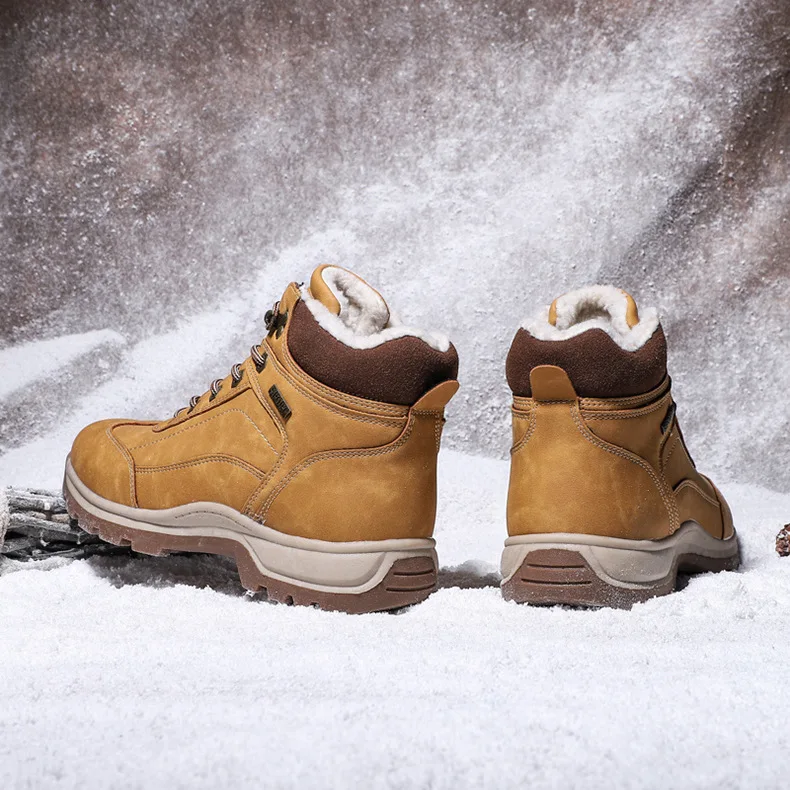 10007799104_1490507648