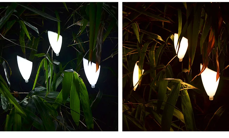 12254275797_320935994