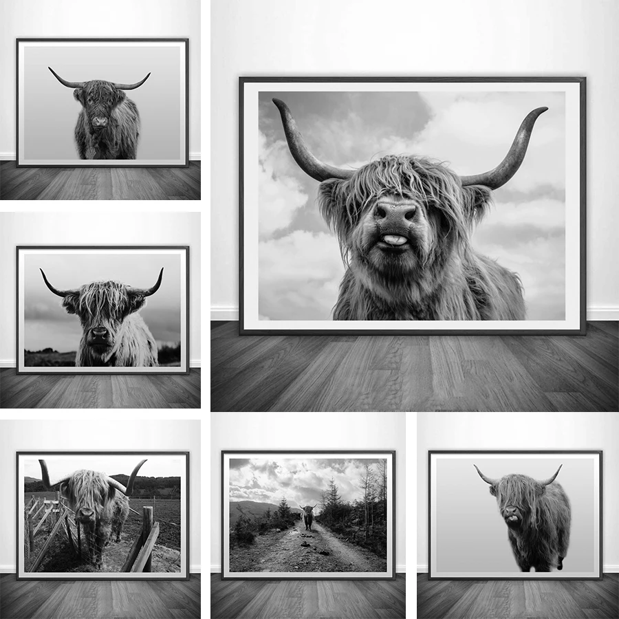 Nordic Черный и белый Як Highland корова дикий картина с рисунком животных Плакаты
