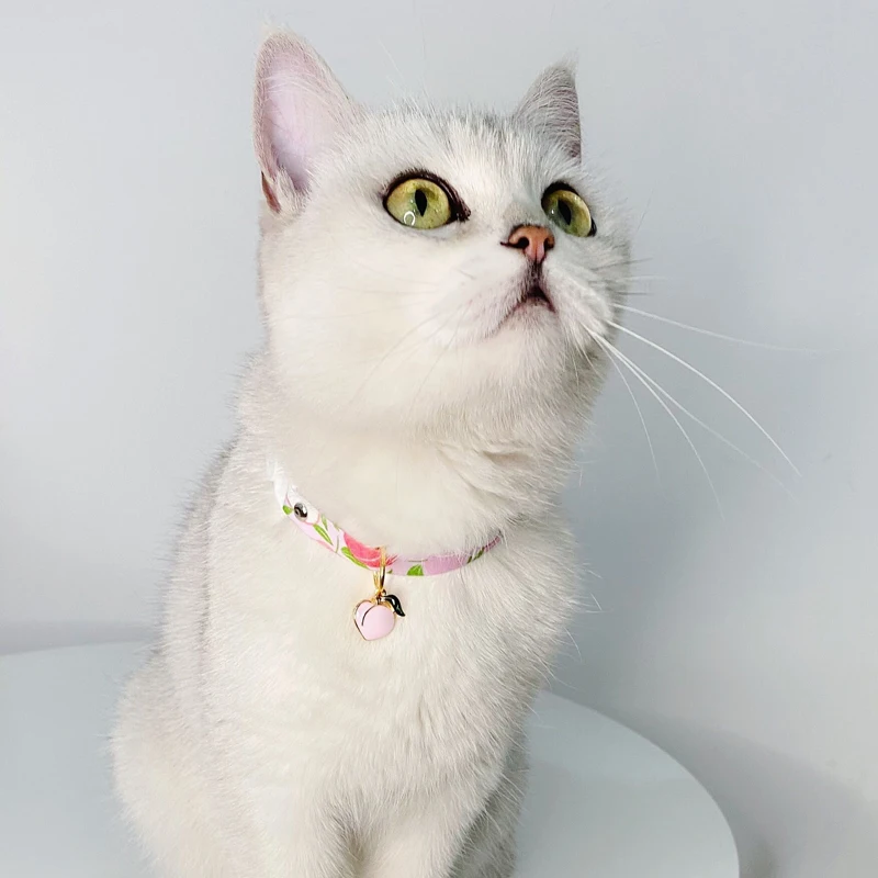 22807965889_1199050608