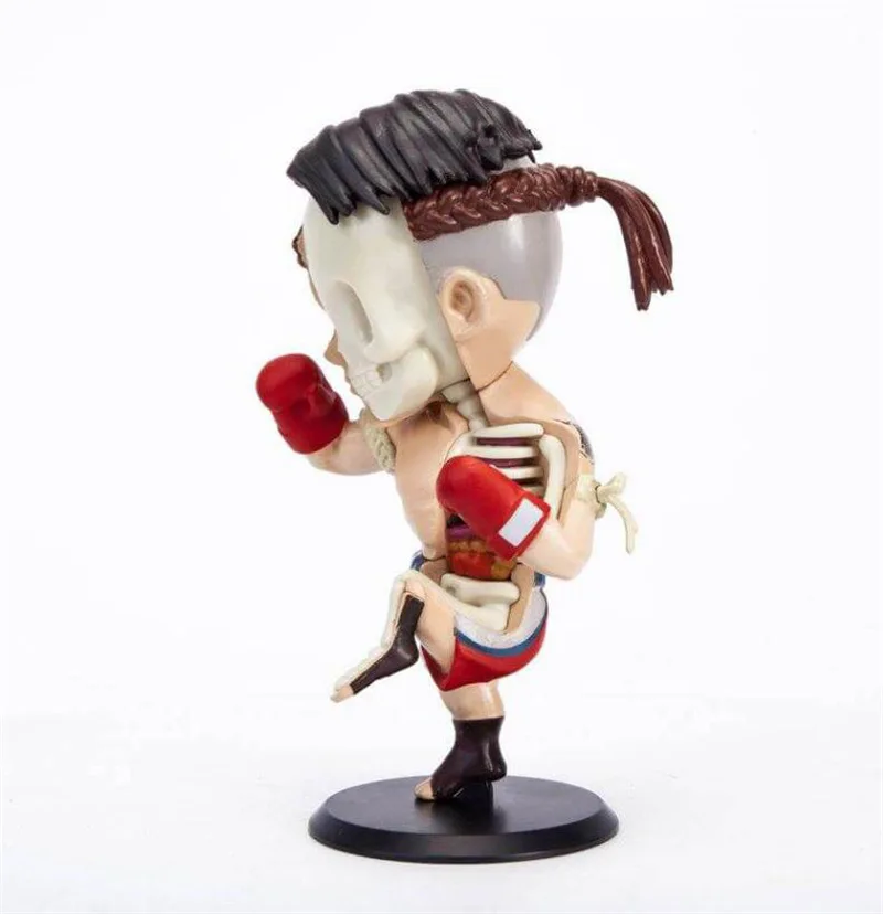 

4D Xxray Master Red Square Boxer Mighty Jaxx JASON freeny Anatomy Cartoon