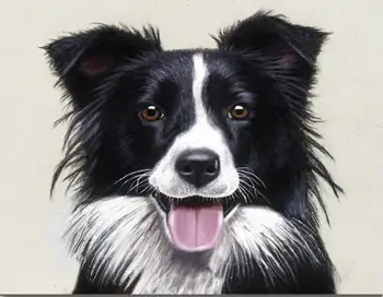 

border collie drawing,Diamond embroidery,5d diy diamond Painting,rhinestone 3D picture cross stitch pattern Home decoration