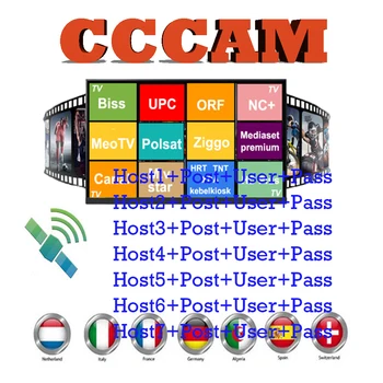 

Freesat V7s Cccam 7 Cline for 1 Year Spain 7 Europe cline for DVB-S2 HD Freesat v7 GT media V8 Nova Cccam 7 cline