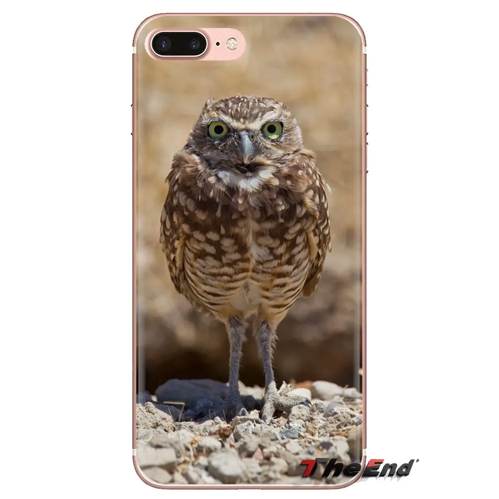 シリコーン電話カバーバッグ動物鳥フクロウの木壁紙 Ipod Touch の Apple の Iphone 4 4s 5 5s Se 5c 6 6s 7 8 Xr Xs プラス最大 Fitted Cases Aliexpress