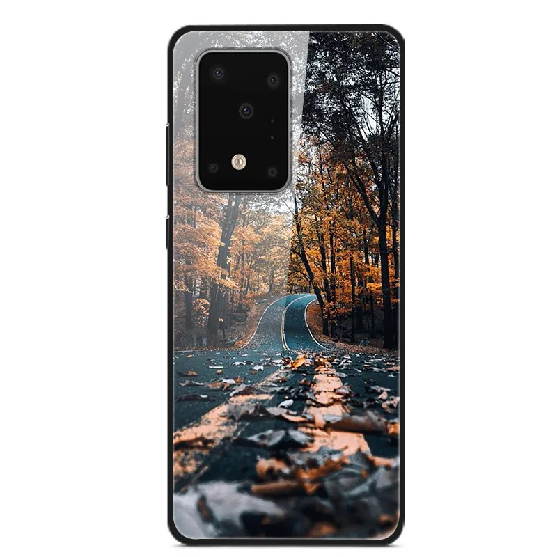 17 Для samsung Galaxy S11 Plus S11E чехол из закаленного стекла жесткий чехол для телефона для samsung Galaxy S11 S11Plus TPU бампер чехол s - Цвет: 17