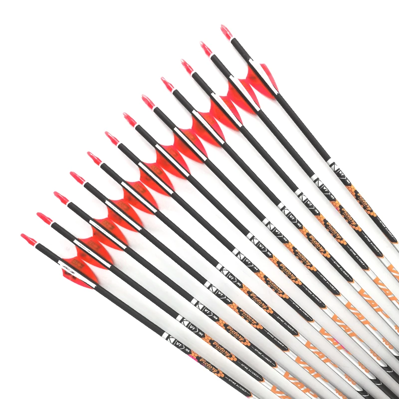 V1 Spine 350 400 450 500 600 700 750 800carbon Arrows 30 5 Shaft Pin Nock Points Recurve Bow Longbow Hunting Shooting 001 Aliexpress Sports Entertainment