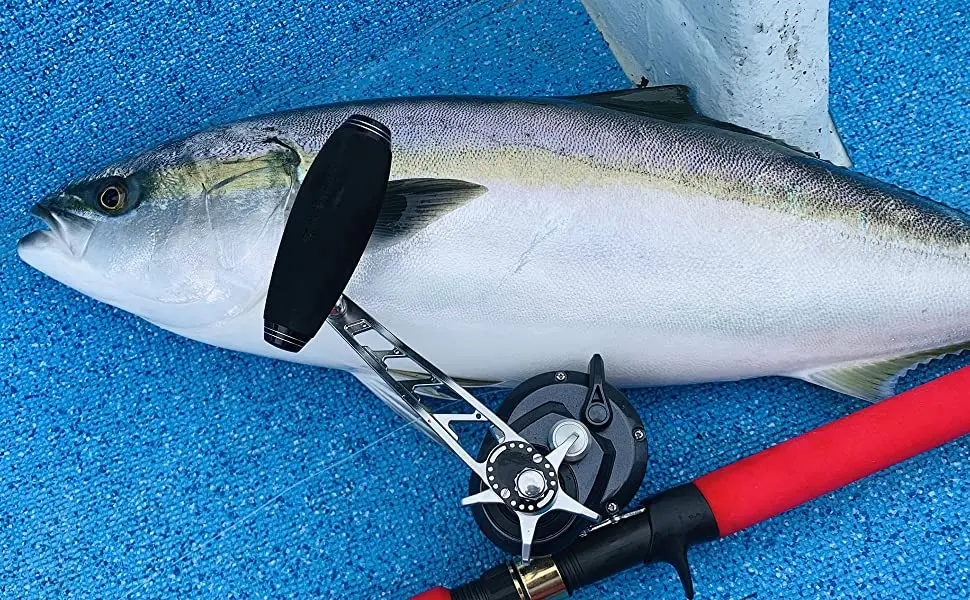 Lidar com Botão Eva para Uso do Carretel de Shimano Gomexus Jigging Elétrica Power 85mm 100mm Barra t Bar 1 Carretilhas de pesca