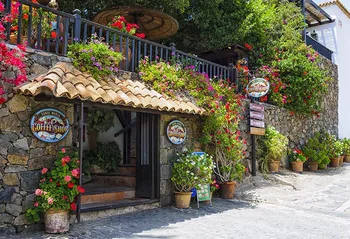 

European town stone coffee photo backgrounds Fotografia floral wedding Photography backdrop for Photo Studio accessories LV-1728