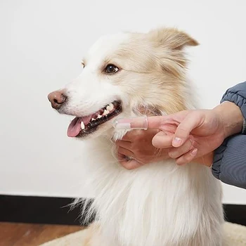 

6Pcs Soft Finger Toothbrush For Pet Dog，Small Dog Tooth Brush& BPA Free Baby ToothBrush Dog Teeth Cleaning Silicone Tooth Brush