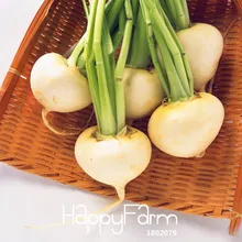 Лидер продаж! Белая вишня Belle редис бонсай фруктов и овощей сад горшечные растения редис flores, 60 шт./упак.,# Q22L3Z