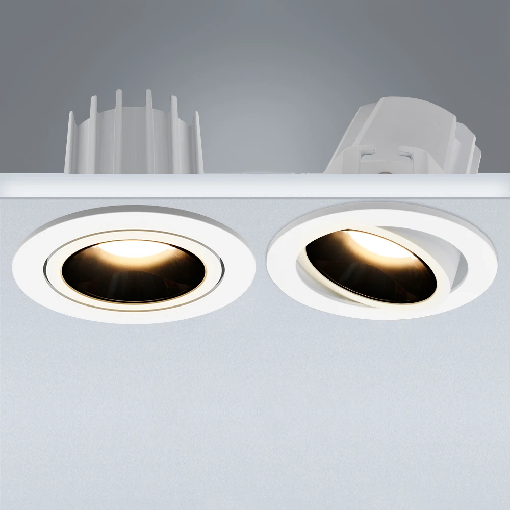 led downlights  (24)